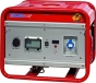 Генератор Endress ESE 306 SG-GT DUPLEX