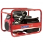 Генератор Endress ESE 1306 DHS-GT ES