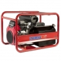 Генератор Endress ESE 1306 HS-GT ES