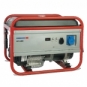 Генератор Endress ESE 206 RS-GT